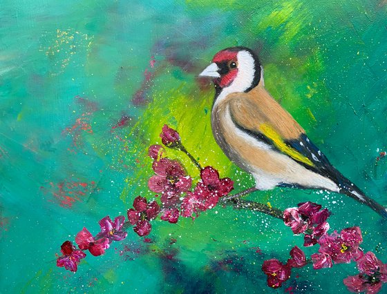 Goldfinch on blossom