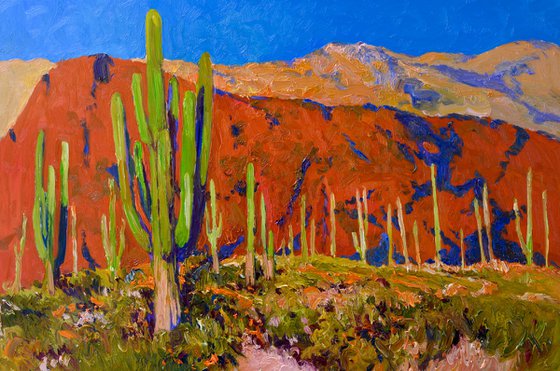 Saguaros and Desert Colors