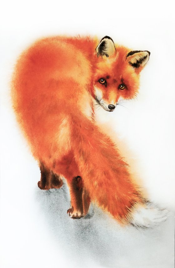 Red Fox Watercolor – wildlife - wild animals - foxy