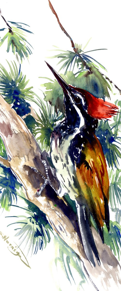 black rumped flameback woodpecker, original watercolor painting by Suren Nersisyan