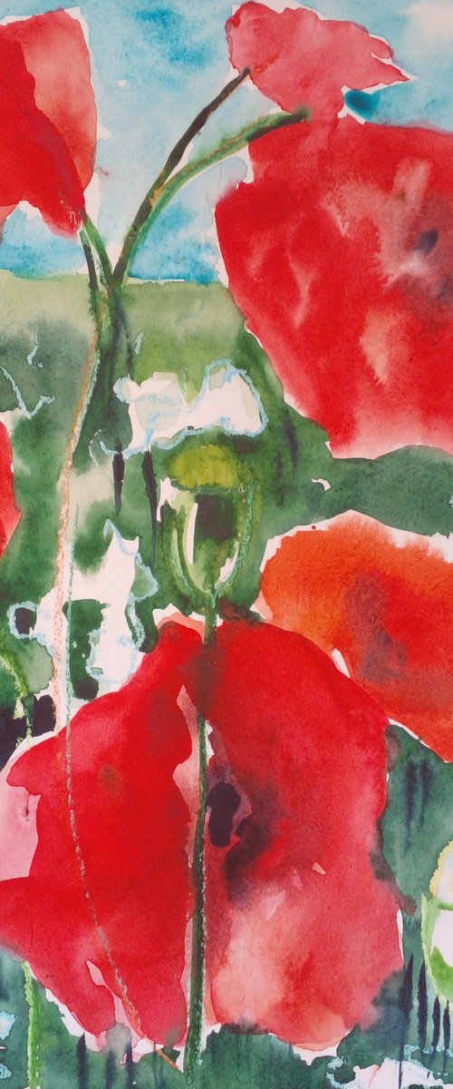 Poppies in the wind by Oxana Raduga