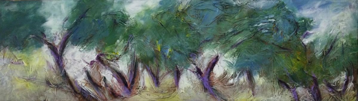 Olive trees by Alessandro Andreuccetti