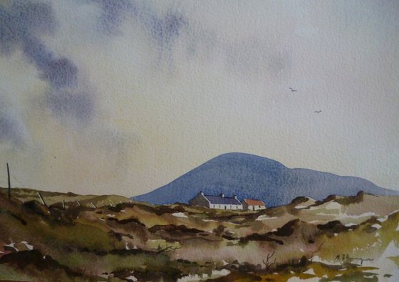 Achill Boglands