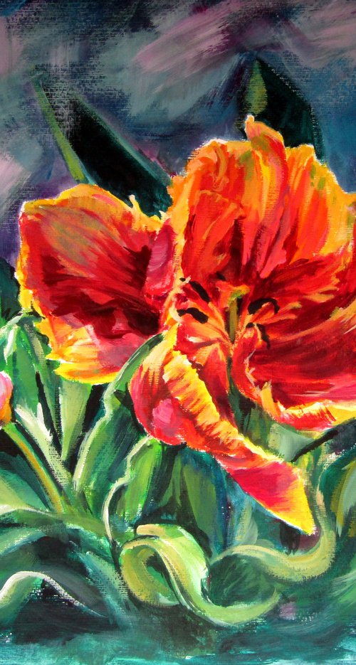 Tulip by Kovács Anna Brigitta