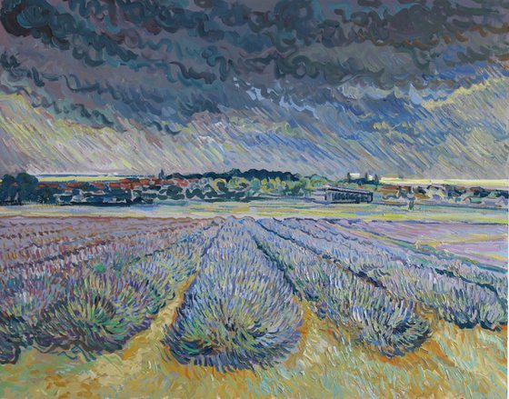 Lavender field Norfolk