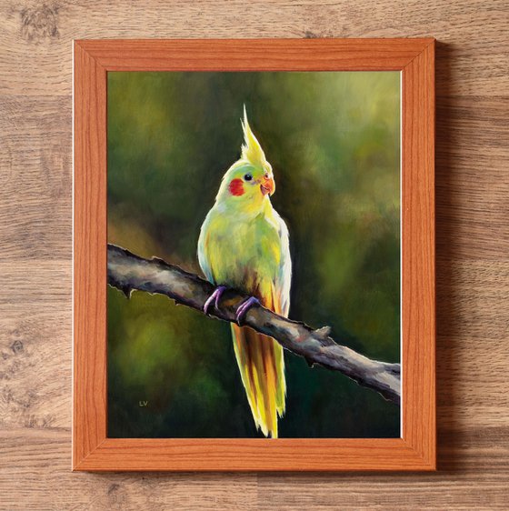 Yellow cockatiel on a branch