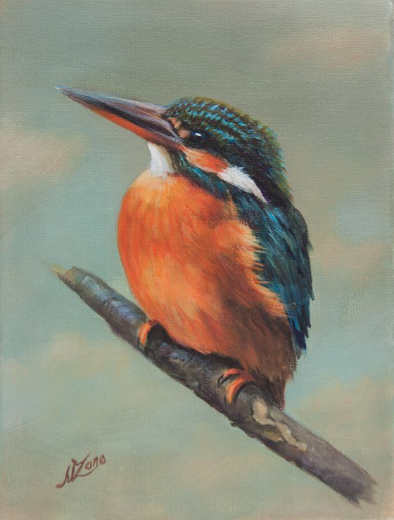 Kingfisher 4