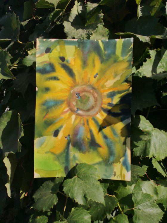 September sun
