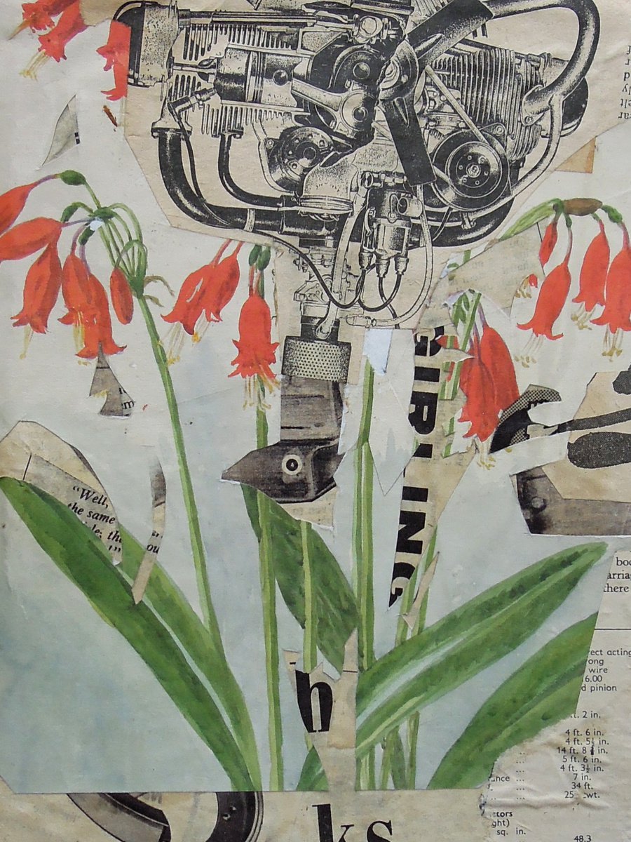 Botanical Collage By Benjamin West, 6 X 8, Plant Machina 7, Original Artwork