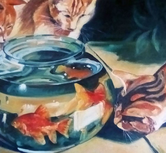 Fish and cats