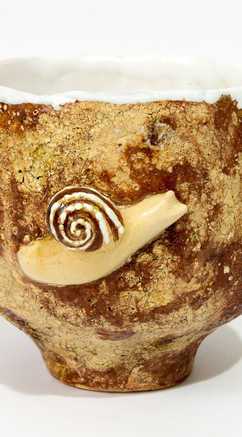 Snail by Oleksandr Korol