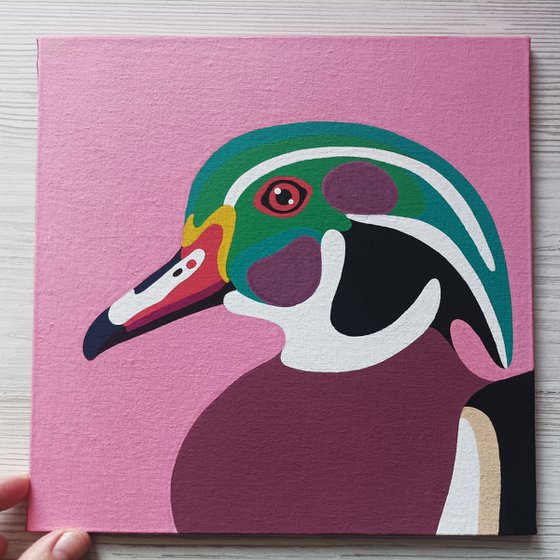 Wood Duck