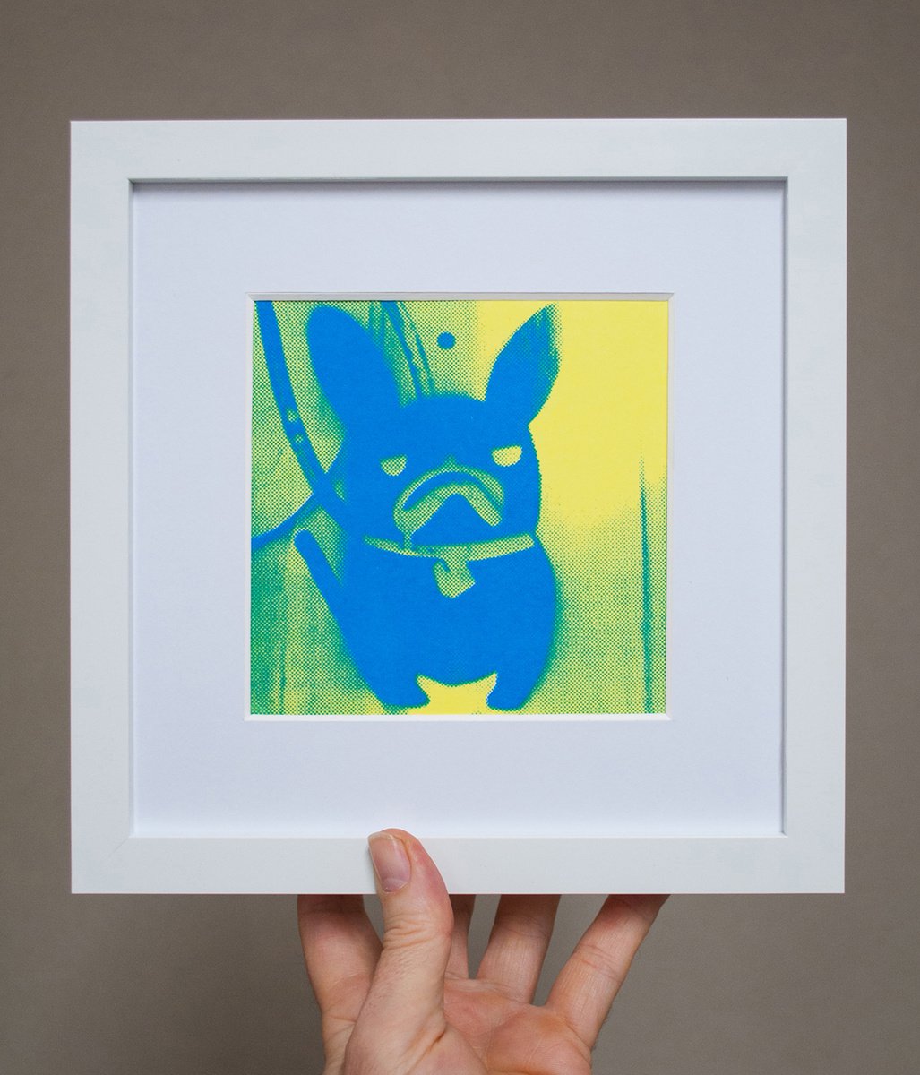 ’Blue’ French Bulldog (small framed artists proof) by AH Image Maker
