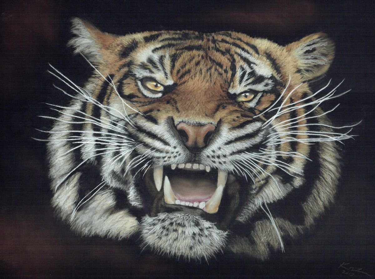 Fury by kaz turner