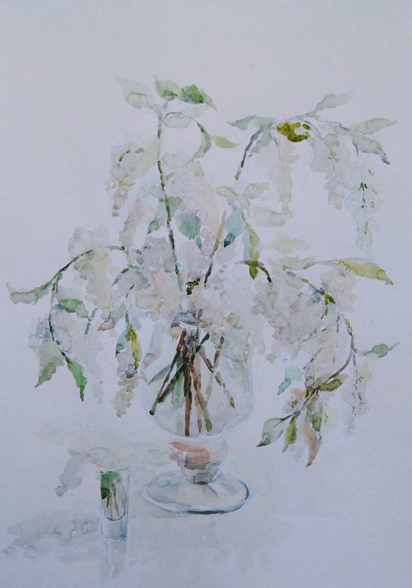 Impressionistic Watercolour , Acacia. Painting By Elena Klyan, 20 X 28, Artwork For Sale On Artfinder