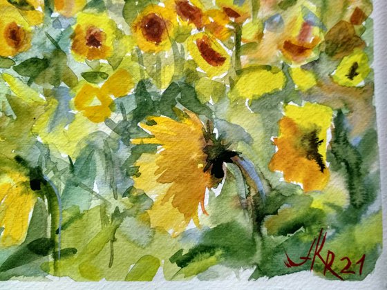 Yellow sunflowers