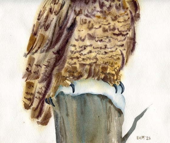 Watercolor portrait of an owl. Eagle owl. Animalism. Original watercolor.