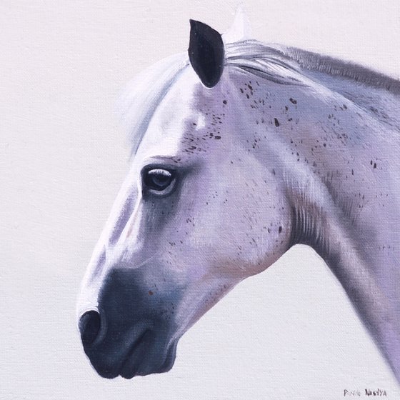 Horse Portrait 11