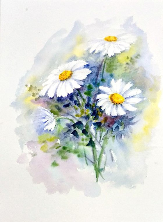 Dainty Daisies