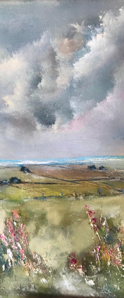 A View Of Cornwall by Maxine Anne  Martin