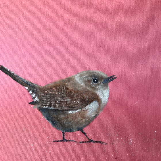 Wren on Rose Gold