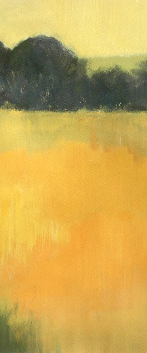 Wheatfield by Jan Rippingham