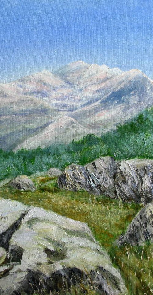 Realistic landscape painting 'Mountains in Croatia' by Anna  Voloshyn