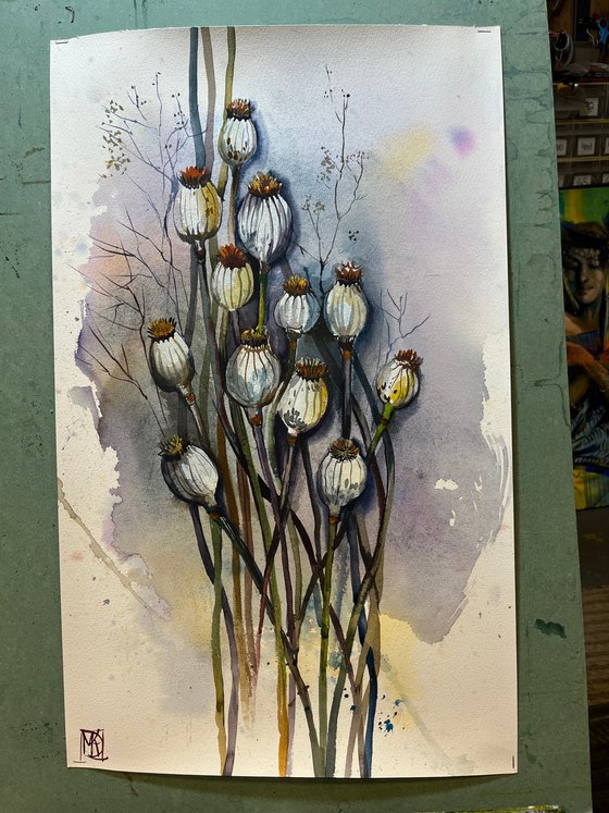 Dry Poppies