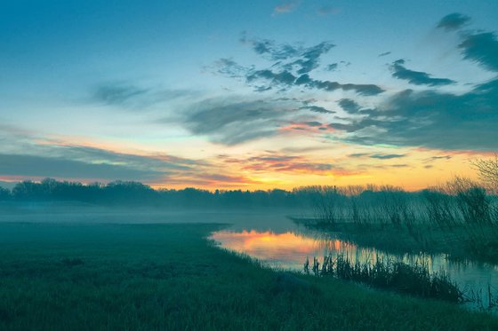 Morning Light