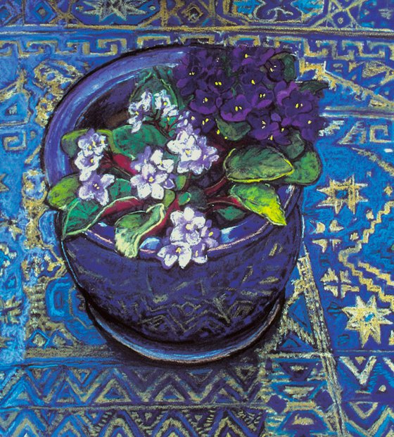 African Violets