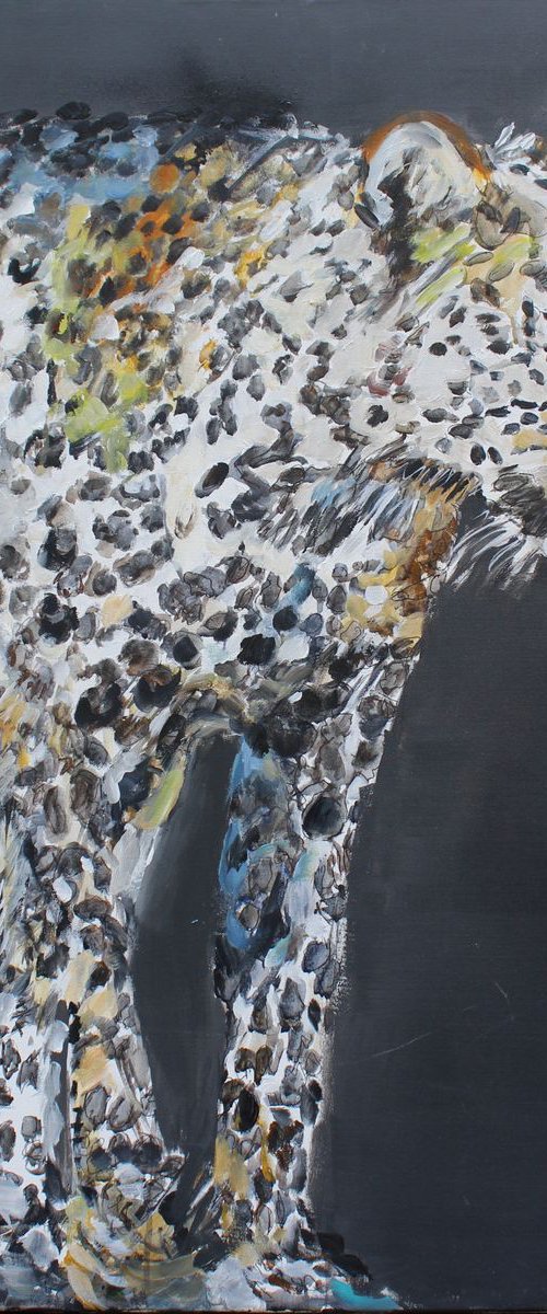 Leopard in my one way 71x100 by Sylvie Dodin