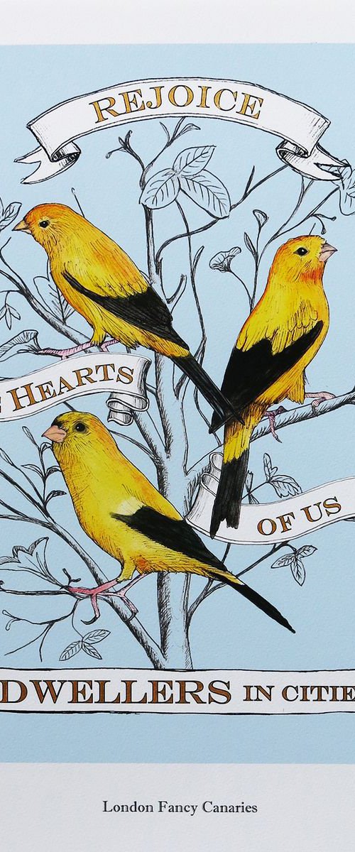 London Fancy Canaries by Anna Walsh
