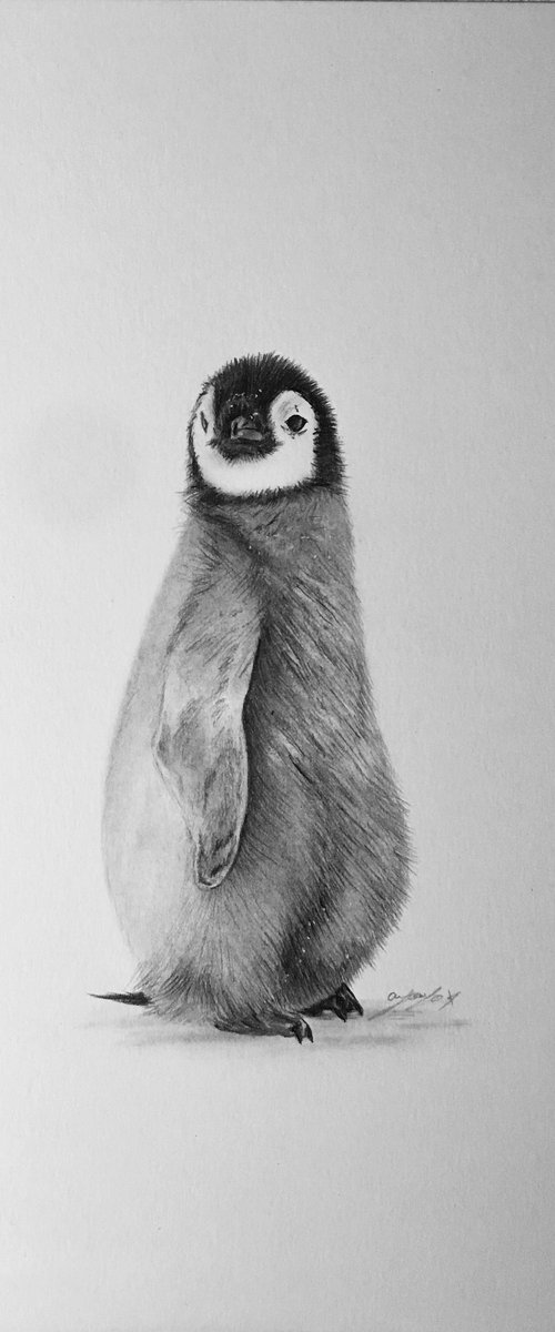 Penguin chick by Amelia Taylor