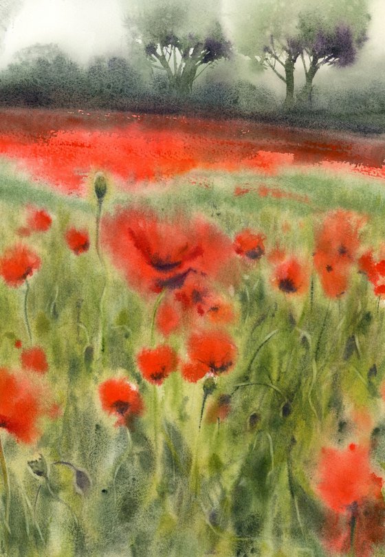 Coquelicot, 2.