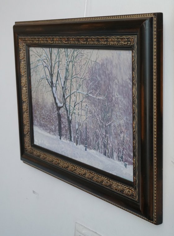 Maple Alley in January