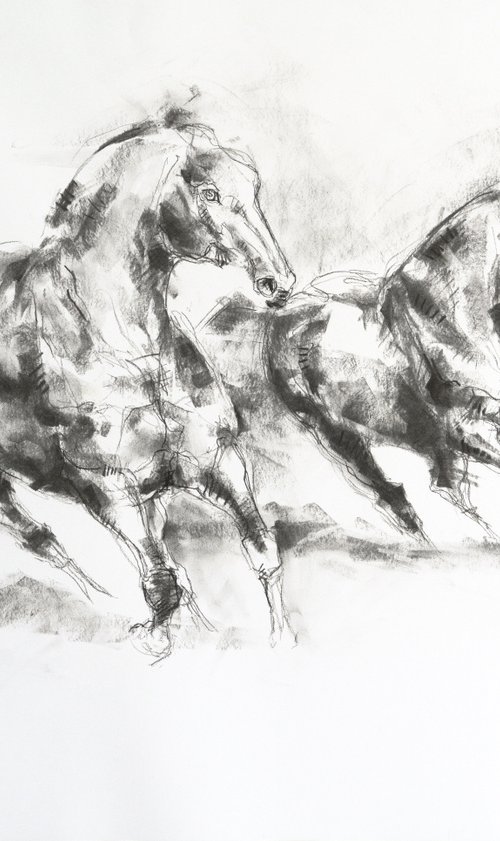 Hierarchy 16p by Benedicte Gele