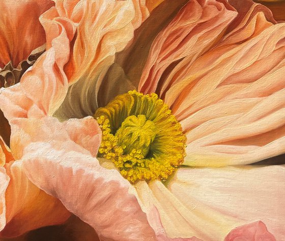The Poppies Dance