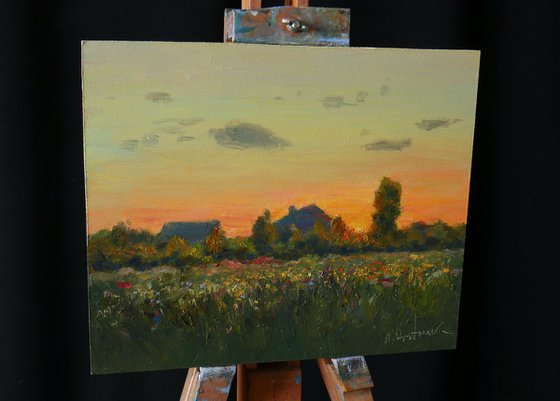 Sunset Over The Meadow