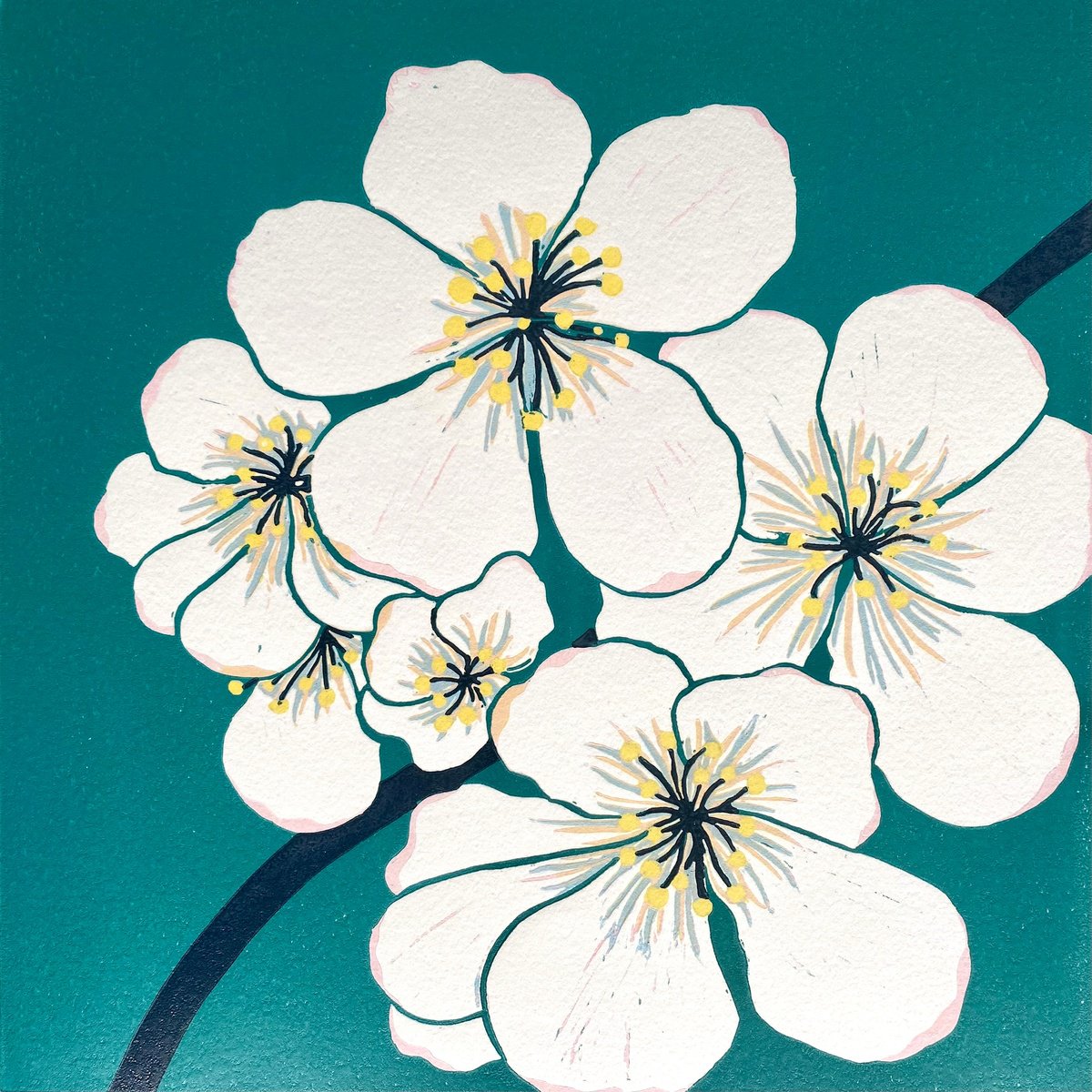 Illustrative Botanical Linocut By Nathalie Pymm Art, 12 X 12", Apple Blossom, Original Artwork