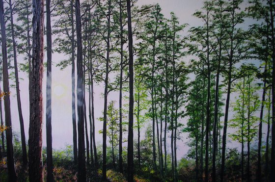 Startling Afternoon shadows.