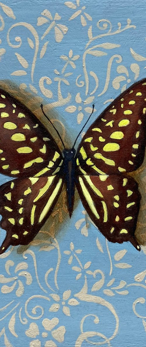 Butterfly on Blue by Priyanka Singh