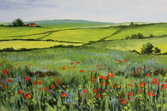 Poppies in the Wheat Fields
