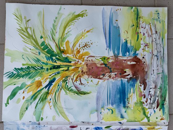 Mediterranean summertime