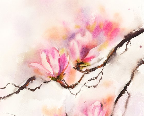 Magnolia