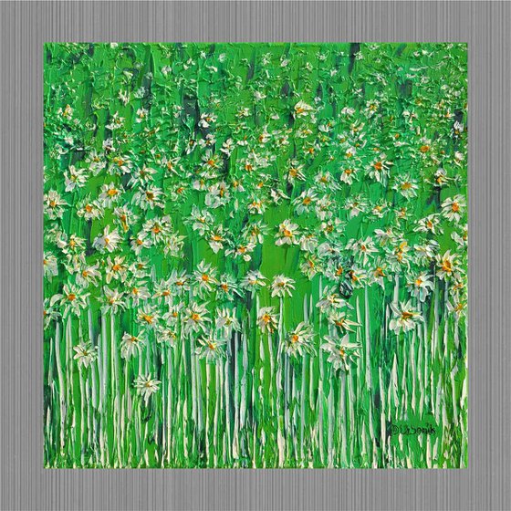 Daisies In The Grass 4