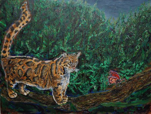 The Cloud Leopard and The Butterfly by Mark Smith