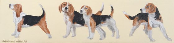 'A Bunch of Happy Beagles'l'