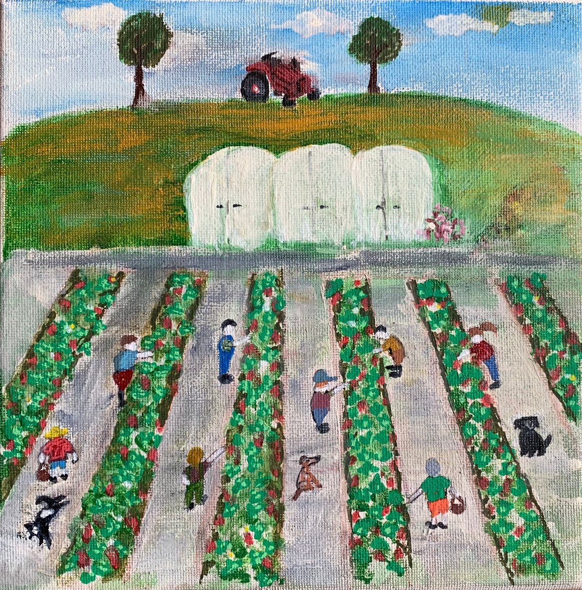 Strawberry picking on the farm by Paul Simon Hughes