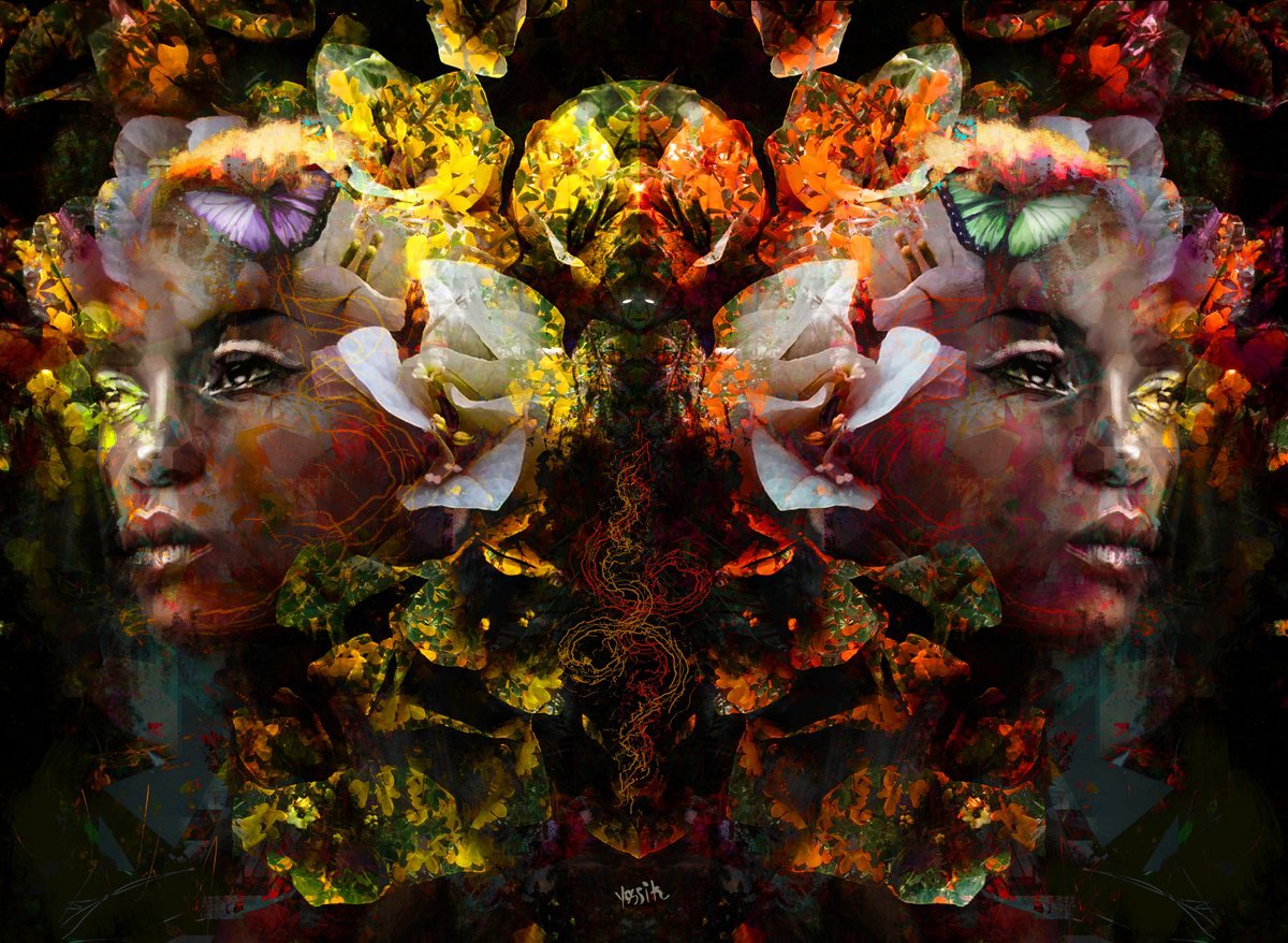 double impact by Yossi Kotler