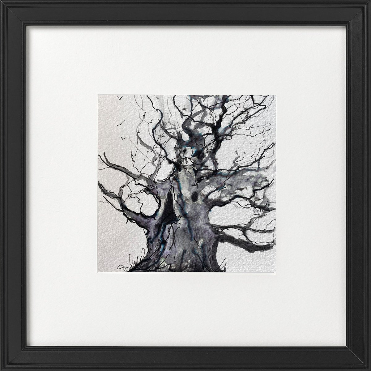 Monochrome - Oak tree (Majesty) in Winter framed by Teresa Tanner